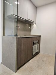 Avenue South Residence (D3), Apartment #535669111